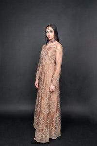 Silk Georgette Net Light Caramel  Brown Embroidered Gown