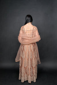 Silk Georgette Net Light Caramel  Brown Embroidered Gown