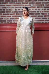 Silk Georgette Net Champagne With Light Green Heavy Embroidered Gown