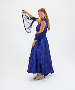 Silk Embroidered Navy Blue Gown