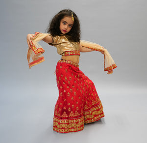 Silk and Net Embroidered Red And Gold Children Lehenga