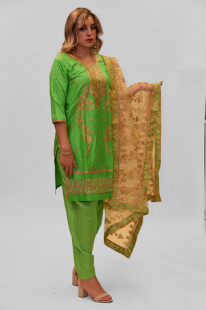 Cotton Silk Bright Kelly Green Embroidered Salwar Kameez