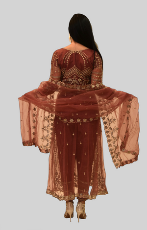 Silk Georgette Rust Red Fully Embroidered Gown