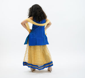 Silk Gold With Light Cobalt Blue Trim Lehenga Skirt